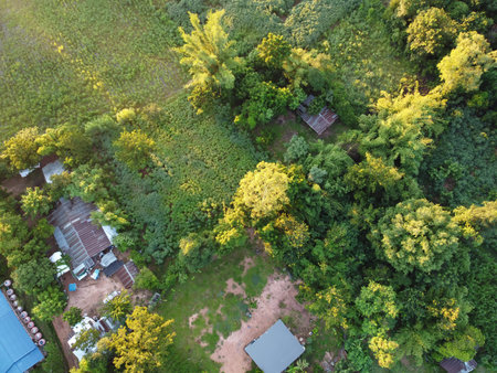 aerial photograph of rural communities in the morning sunrise