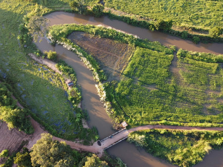 Streams meander in agricultural areas during the rainy season with plenty of water. Green and warm in the morning sunshine.の写真素材