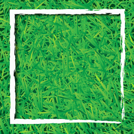 Green grass background with white rectangle vector designのイラスト素材
