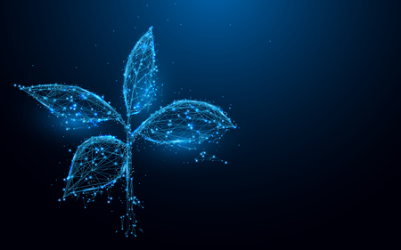 Plant from lines and triangles, point connecting network on blue background. Illustration vectorのイラスト素材