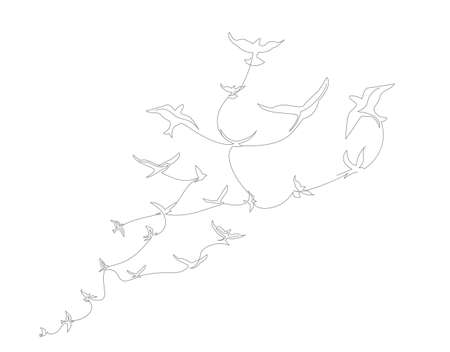 continuous line drawing with A flock of flying birds. Freedom Line art. Black and White vector designのイラスト素材