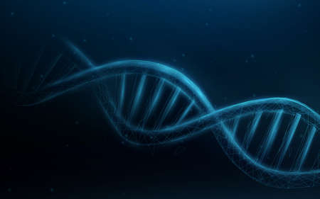 Wireframe DNA molecules structure mesh from a starry blue background. Science and Technology conceptのイラスト素材