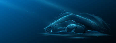 Freestyle swimming. Sport cardio exercise. Low poly model design. Vector illustrationのイラスト素材