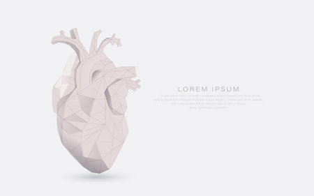 Low polygon and wireframe heart shape on a white background. Heartcare conceptのイラスト素材