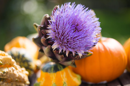 Artichoke