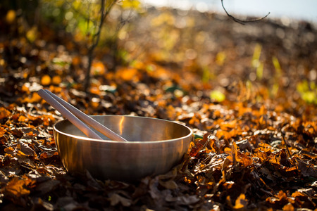 bronze bowl on the lakeの写真素材