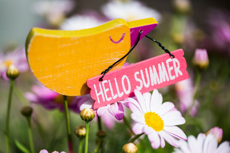 Hello Summer, decoration bird in daisiesの写真素材