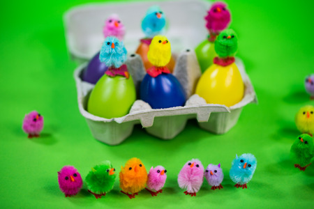 Eggbox with eggs and funny chicks, green backgroundの写真素材