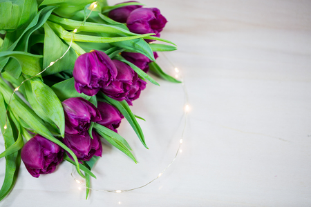 Tulips on wooden backgroundの写真素材