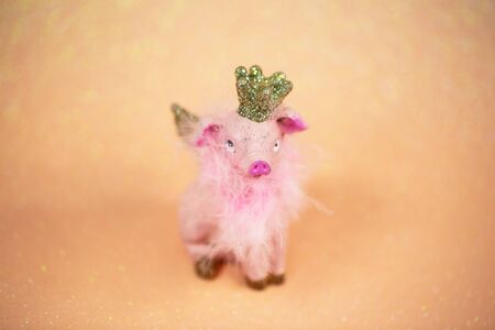 Lucky pig on pink background, talismanの写真素材