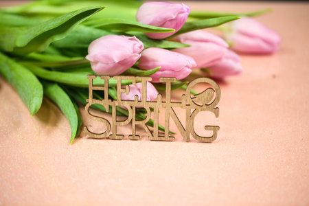 Hello Spring, Tulips on pink backgroundの写真素材