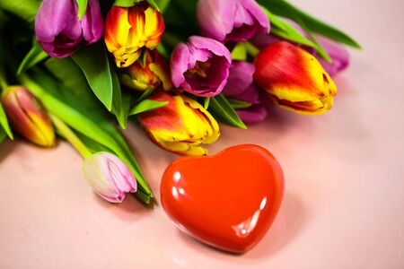 tulips with hearts on pink background, with diffrent heartsの写真素材