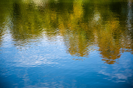Water reflection in autumn on the Nympehburg Canal