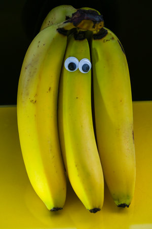Bananas on a string, yellow background, funny bananas with eyes, background, sの写真素材