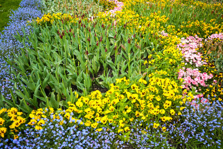 botanical garden in munich, tourism, green and colourful