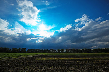 Field path with wheat and potatoes, cloudy sky just before the thunderstormの写真素材