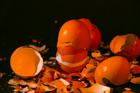 eggshells mixed up on a black backgroundの写真素材