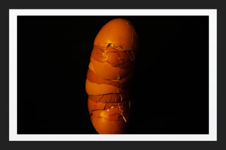 half eggshells built into a towerの写真素材