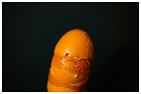 half eggshells built into a towerの写真素材