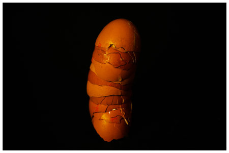 half eggshells built into a tower