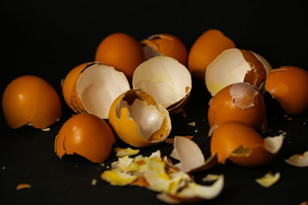 eggshells mixed up on a black background