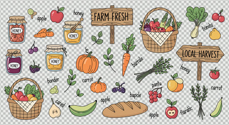 Hand drawn collection of farm fresh produce including apples, carrots, pumpkins, bananas, berries, and honey jars, alongside rustic market signs, emphasizing local harvest and healthy eating.のイラスト素材
