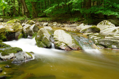 Rapid river running through the stones in an amazing green mediterranean mountain forest with broken...