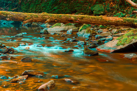 Nature scene featuring water streaming through river bedrock