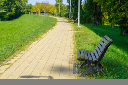 Picturesque green park with trees and grassy lawn with empty benches on the path