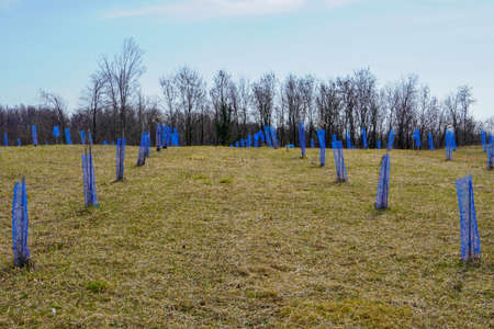 Protective net for fruit trees from wild animalsの写真素材