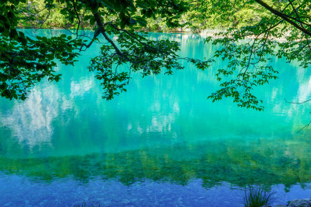 Beautiful turquoise lake in Plitvice National Park, Croatia