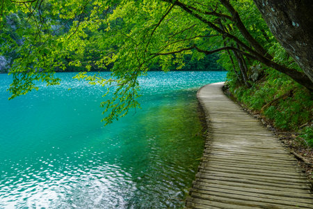 Amazing tourist wooden trail in a picturesque deep forest with clear lakes, Plitvice National Park, Croatia, Europeの写真素材