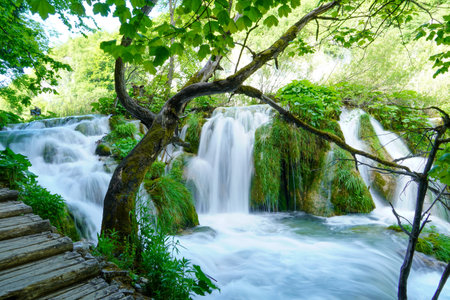 Summer view of beautiful small waterfalls in Plitvice Lakes National Park, Croatiaの写真素材