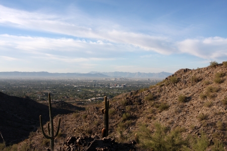 Cactus in the Arizona Desert near with Phoenix off in the distanceの写真素材