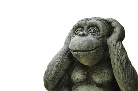 Monkeyの写真素材