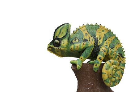  Chameleon statueの写真素材