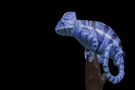  Chameleon statueの写真素材