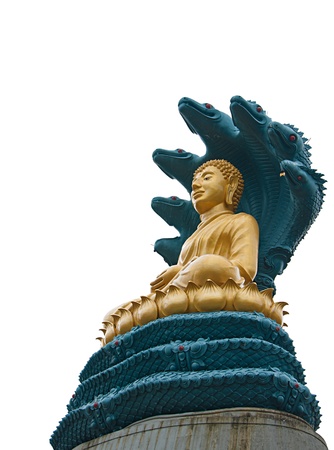 Buddha with big snakeの写真素材