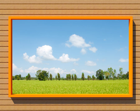 Big window with rice farm