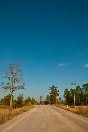 Local road in country Thailandの写真素材