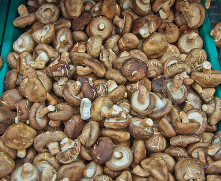 Group of Mushrooms in the fresh market of Thailand