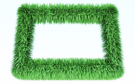Nature frame in fur grass style to created by three dimensional software