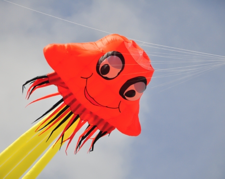 Colorful of octopus kite in summer dayの写真素材
