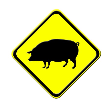Pig in warning traffic sign isolated on a white backgroundの写真素材
