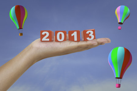 2013 red cube on lady palm