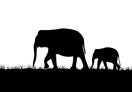 Elephant family silhouettes in Asian forestの写真素材