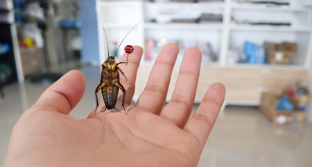 The cockroach standing on lady hand and showing Stop bullying sign