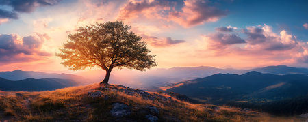 Tree Silhouette Against a Mountain Sunset, Vibrant Sunrise Over a Lush Green Valleyの写真素材