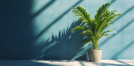 Sunlit Serenity A Potted Palm Against a Blue Wall, Boho Luxe Palm Shadow on Blue Wall for Product Displayの写真素材