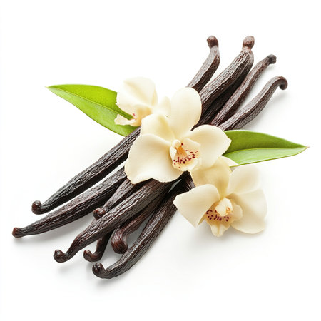 Vanilla pods with flower and leaf isolated on white background. Top view.の写真素材
